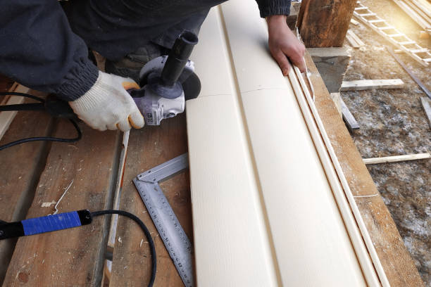 Best Fascia and Soffit Installation  in Old Fig Garden, CA